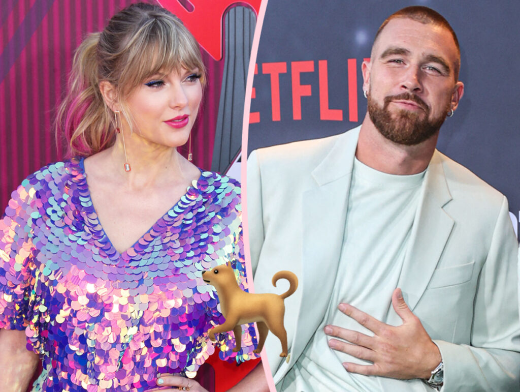 Taylor Swift & Travis Kelce Have Had Their Dog For HOW LONG?!