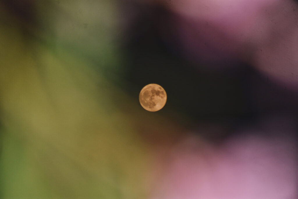Blind Item: Vow Renewal Under The Harvest Moon